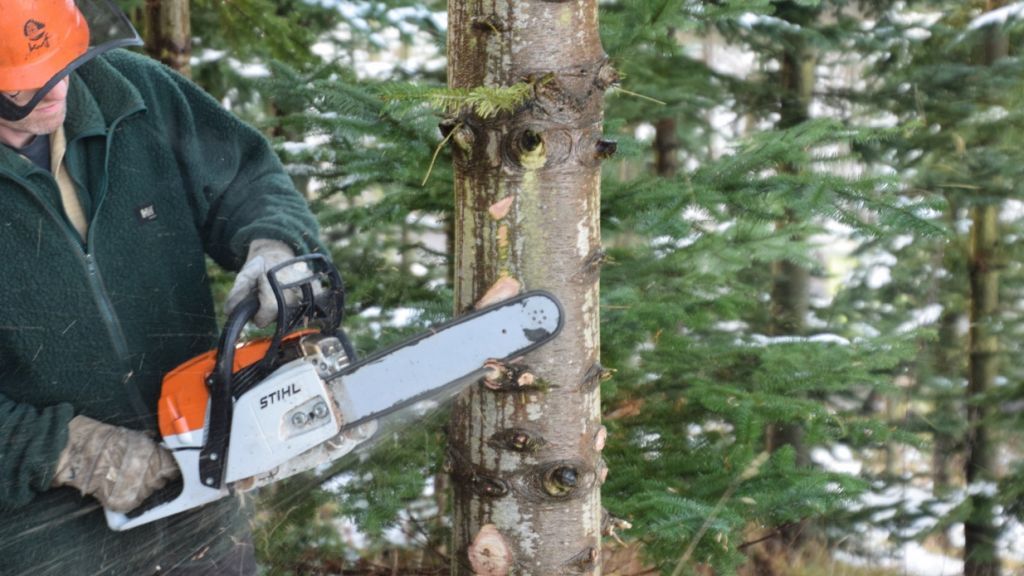  von Symbol Prillwitz