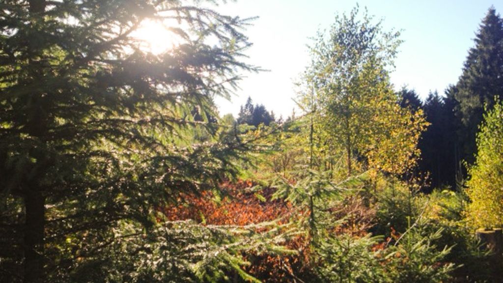 Der Herbst ist da, die Abende werden länger, das Wetter trüber - Zeit, mit dem Projektchor etwas Neues auszuprobieren. von Symbol Sven Prillwitz