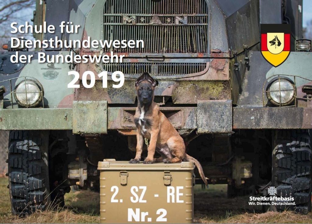  von Schule für Diensthundewesen der Bundeswehr