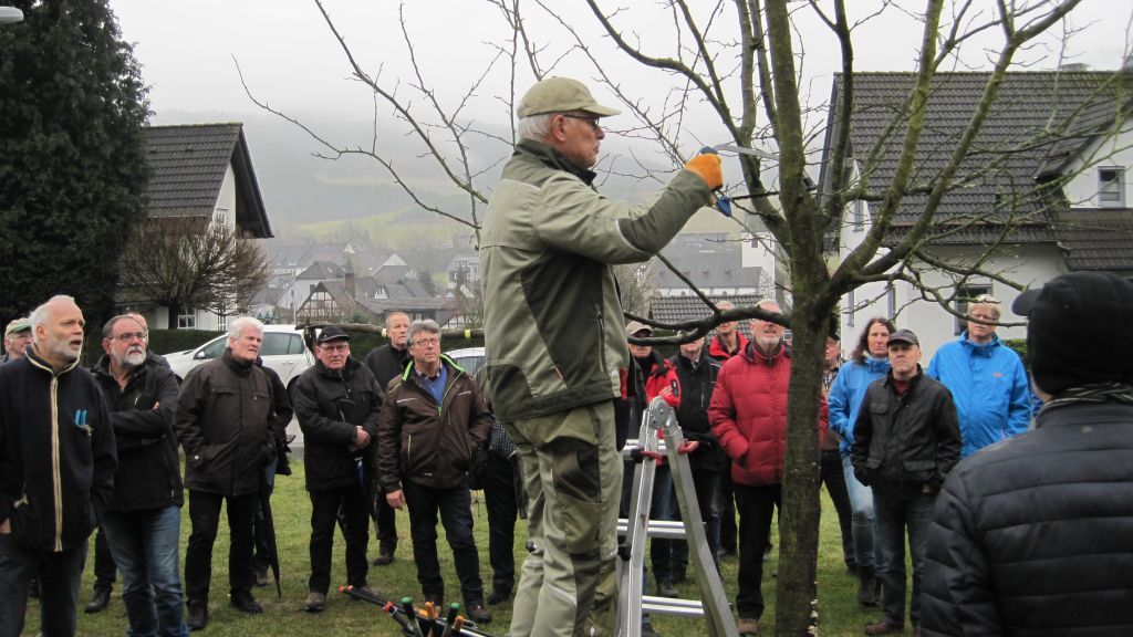 Franz-Josef-Göddecke, Vorsitzender des Naturschutzbundes Olpe (NABU), zeigte Tipps und Tricks rund um den Obstbaum-Schnitt. von privat
