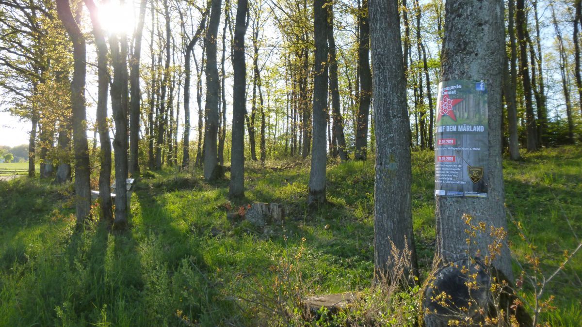 Im Eichenwald auf dem Märland findet nach zehn Jahren wieder ein Waldfest statt. von privat