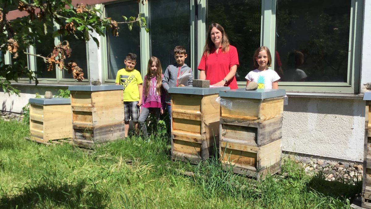 Lehrerin Kristin Dreeskamp kümmert sich mit Mitgliedern der Bienen-AG um die Bienenvölker auf dem Gelände des Städtischen Gymnasiums Olpe. von privat