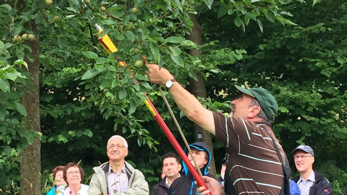 Friedhelm Geldsetzer, Fachwart für Obstbau, demonstriert den richtigen Obstbaumschnitt. von Symbol privat