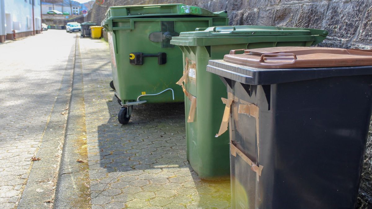  von Symbol Marla Rohrmann