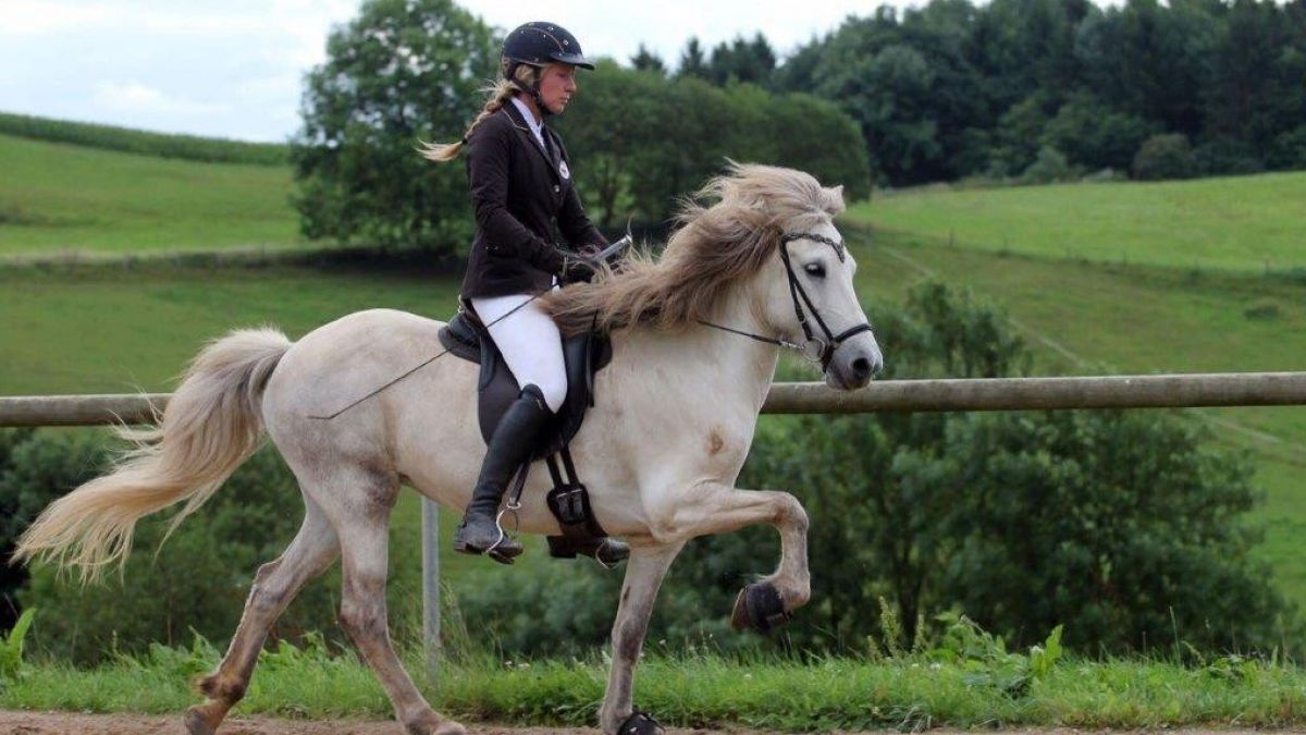 Das Sauerlandturnier findet am Wochenende auf dem Quinkenhof in Melbecke statt. von privat