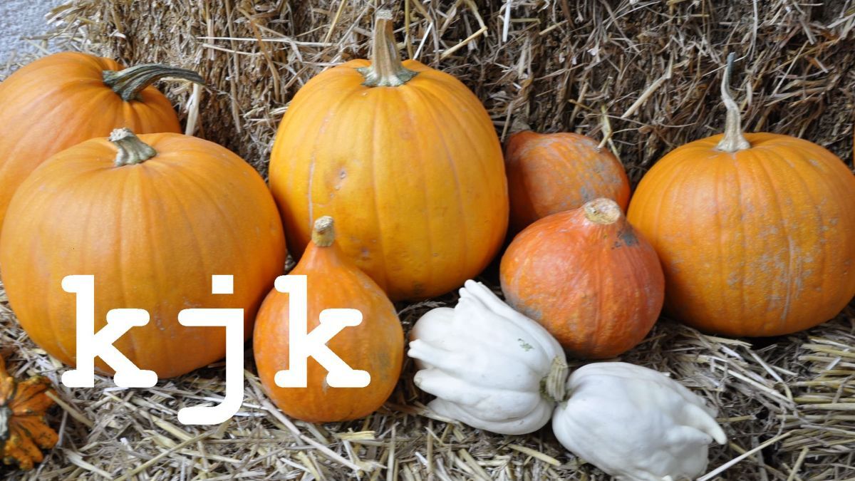 Das kjk bietet in den Herbstferien ein buntes Programm an. von privat