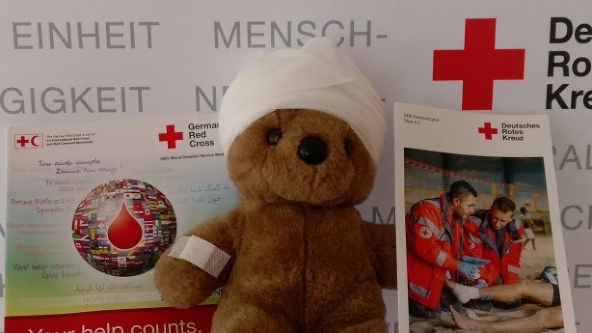 In der Teddy-Klinik konnten die kleinen Besucher ihre Kuscheltiere verarzten. von privat