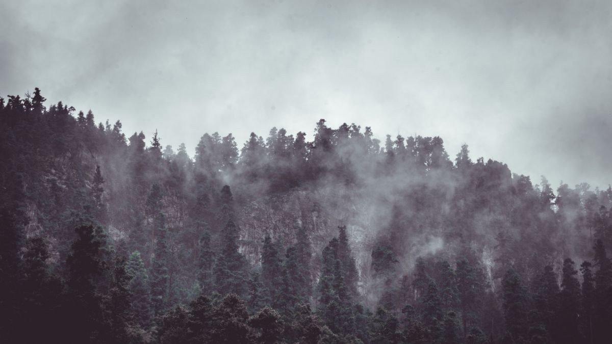  von Unsplash/Alfonso Navarro