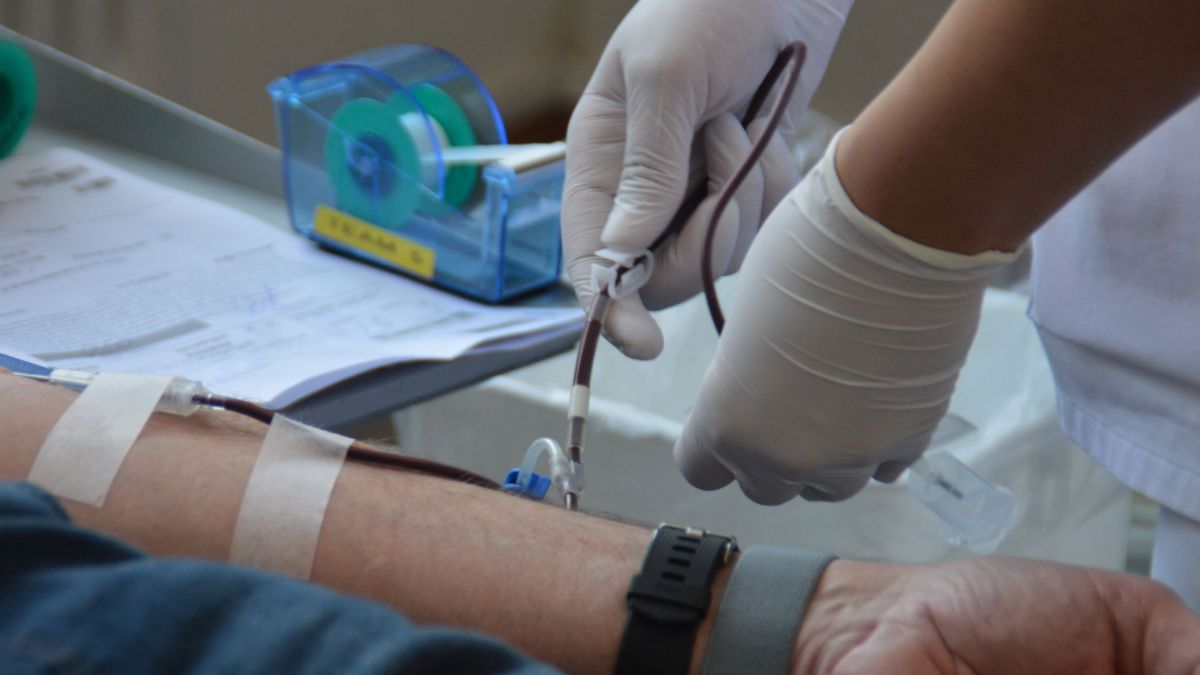 Eine Blutspende dauert etwa fünf bis zehn Minuten, in denen etwa 500 Milliliter Blut "abgezapft" werden. von Nicole Voss