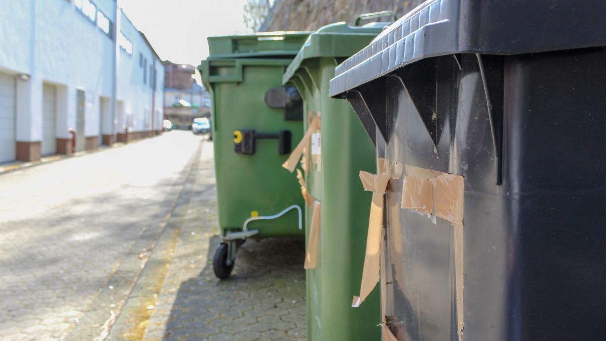  von Symbol Marla Rohrmann