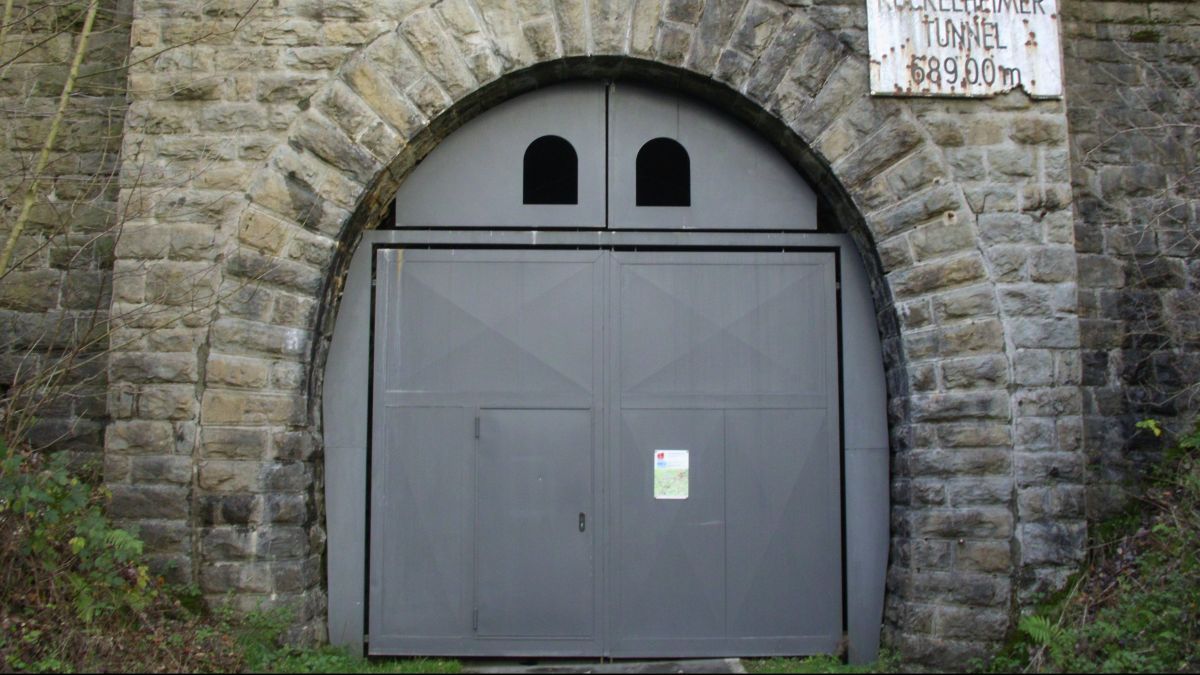 Der Fledermaustunnel wird ab dem 31. Oktober geschlossen. von privat