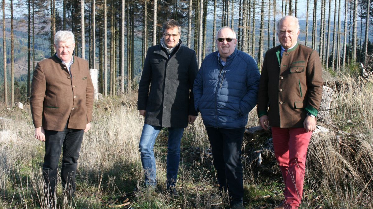 Peter Liese (2. von links), hier mit Waldbesitzer Carl-Ferdinand Freiherr von Lüninck, Ferdinand Funke (stellvertretender Landesvorsitzender des Waldbauernverbands NRW) und Roderich Freiherr von Loe (Vorsitzender des  Ausschusses für Europa des Deutschen Forstwirtschaftsrates), macht sich vor Ort ein Bild vom Zustand des Waldes. von Europabüro