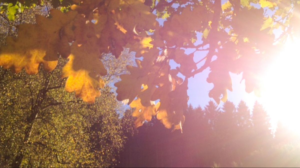  von Symbol Sven Prillwitz