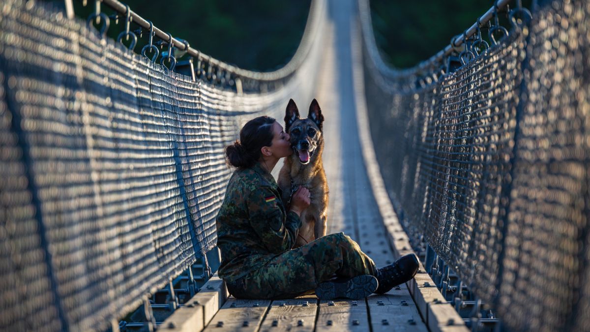 Keine Höhenangst: Diensthundeteam auf der 360 Meter langen und 100 Meter hohen Gleierlay Hängeseilbrücke. von Schule für Diensthundewesen der Bundeswehr