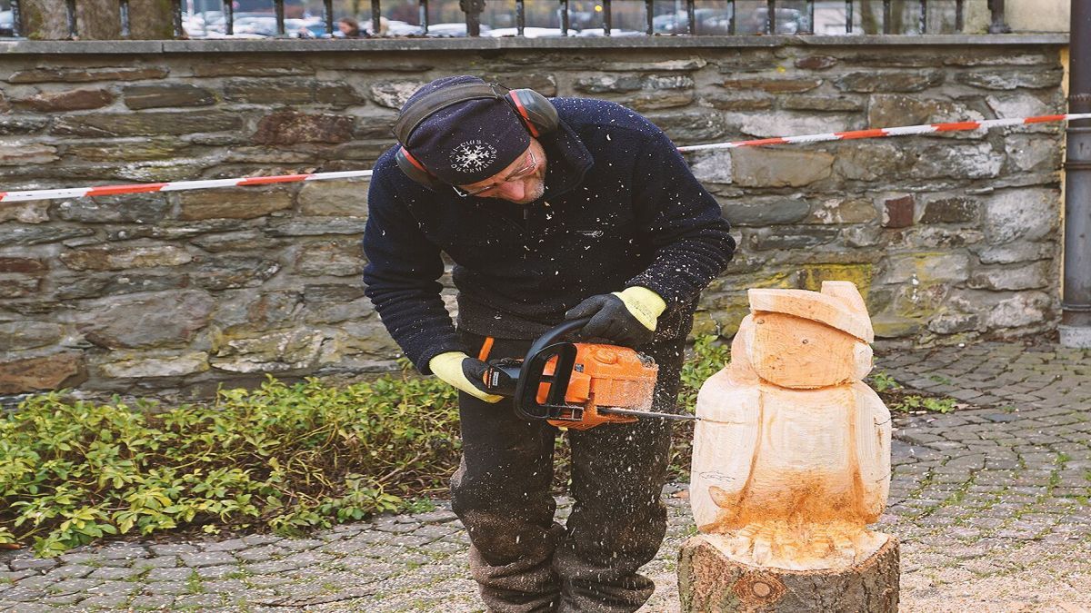 Ein Holzsägekünstler gab Einblicke in sein Hobby. von privat