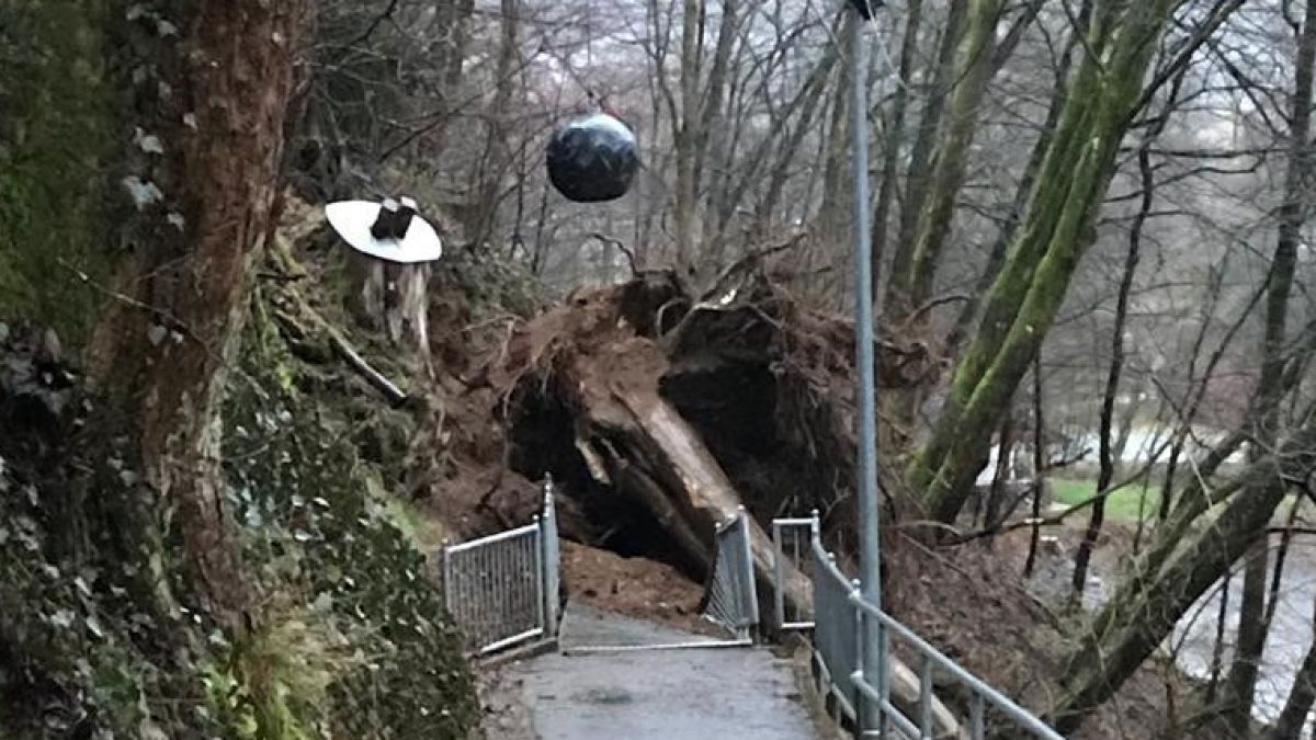 In Albaum stürzte ein großer Baum auf eine Fußgängerbrücke und blockierte den Weg. von Steffen Kordes