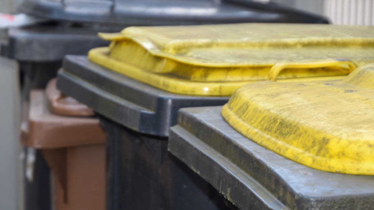 Mülltonnen sind am Abfuhrtag bis 6 Uhr morgens rauszustellen. von Archiv- Prillwitz