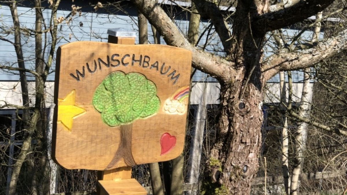 Der Wunschbaum im Kirchhundemer Hölzchen. von privat