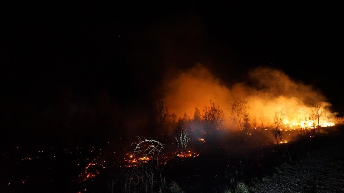 Der Wald brannte auf einer Fläche von mehr als 30.000 Quadratmetern. von Sascha Hoffmann