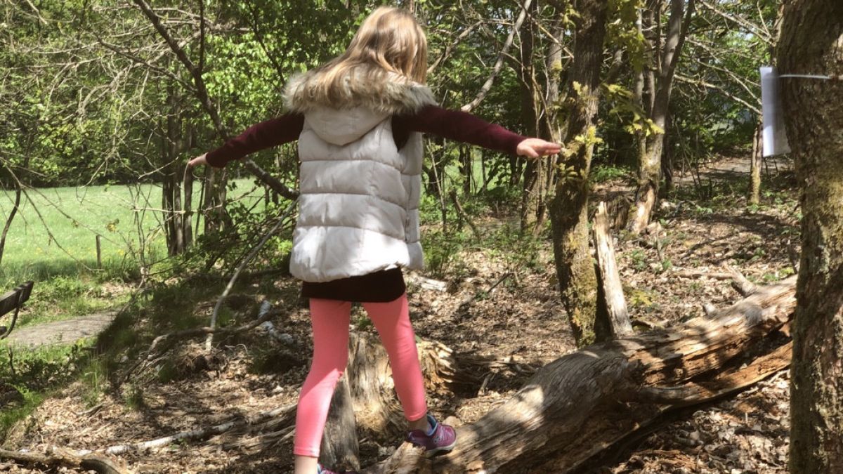 Über einen Baumstamm balancieren - eine der vielen Aufgaben auf dem WALDerlebenPFAD in Kirchhundem. von privat