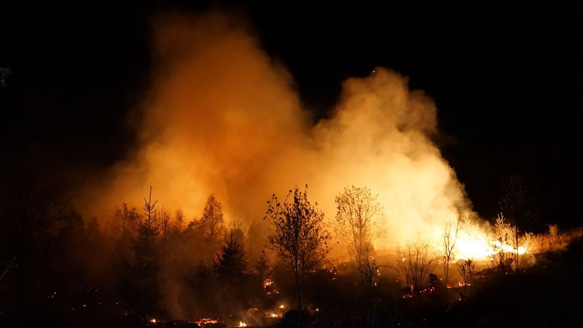 Die Gefahr von Waldbränden, wie kürzlich bei Rothemühle, ist enorm hoch. von Sascha Hoffmann