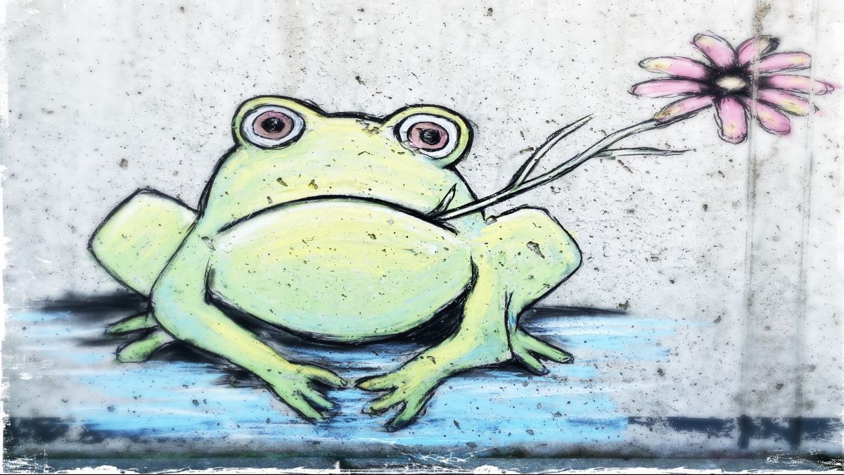 Dieser Frosch springt Spaziergängern in Altenhundem ins Auge. von privat