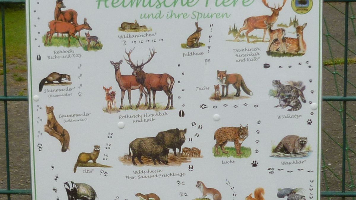 Kindgerecht werden die heimischen Tiere am Spielplatz in Neuenhof veranschaulicht. von privat