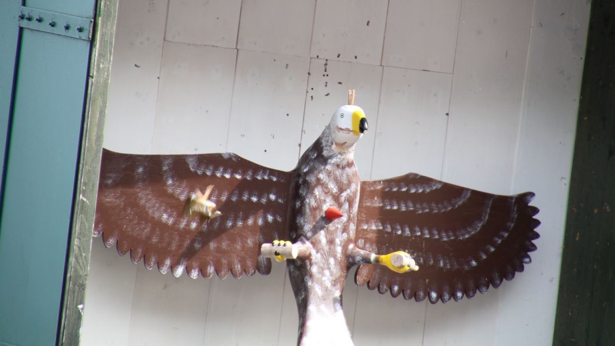In Altenkleusheim hat der Holzvogel in diesem Jahr nichts zu befürchten. von Thomas Fiebiger
