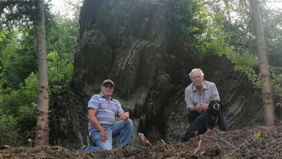 Josef Balkenhol (links) und Gerhard Voucko machten den Blick auf den Eulenstein wieder frei. von privat