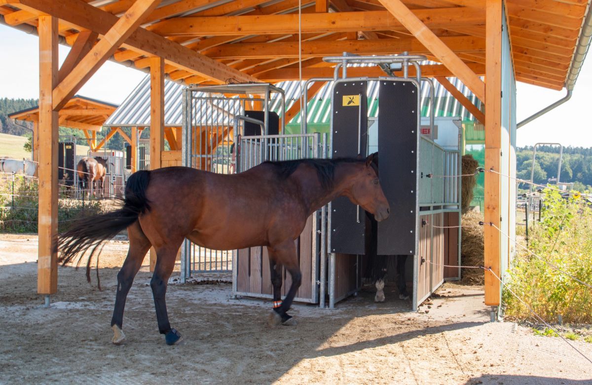  von Christine Schmidt