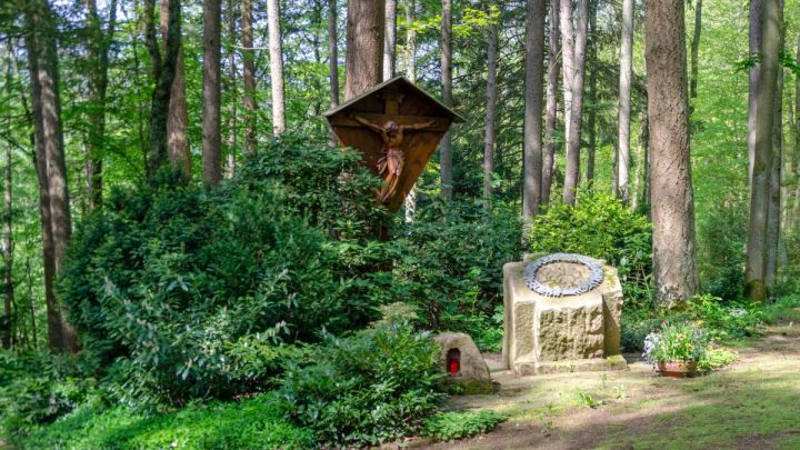 Ab Anfang 2021 Bestattungen auf dem Waldfriedhof Maria