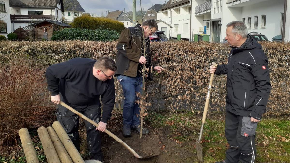 Insgesamt wurden 2.528 rund um Würdinghausen gepflanzt, so auch am Dorfbrunnen.  von privat