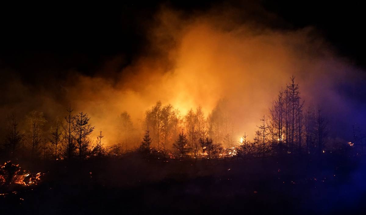 Waldbrand in Rothemühle im April 2020. von Sascha Hoffmann