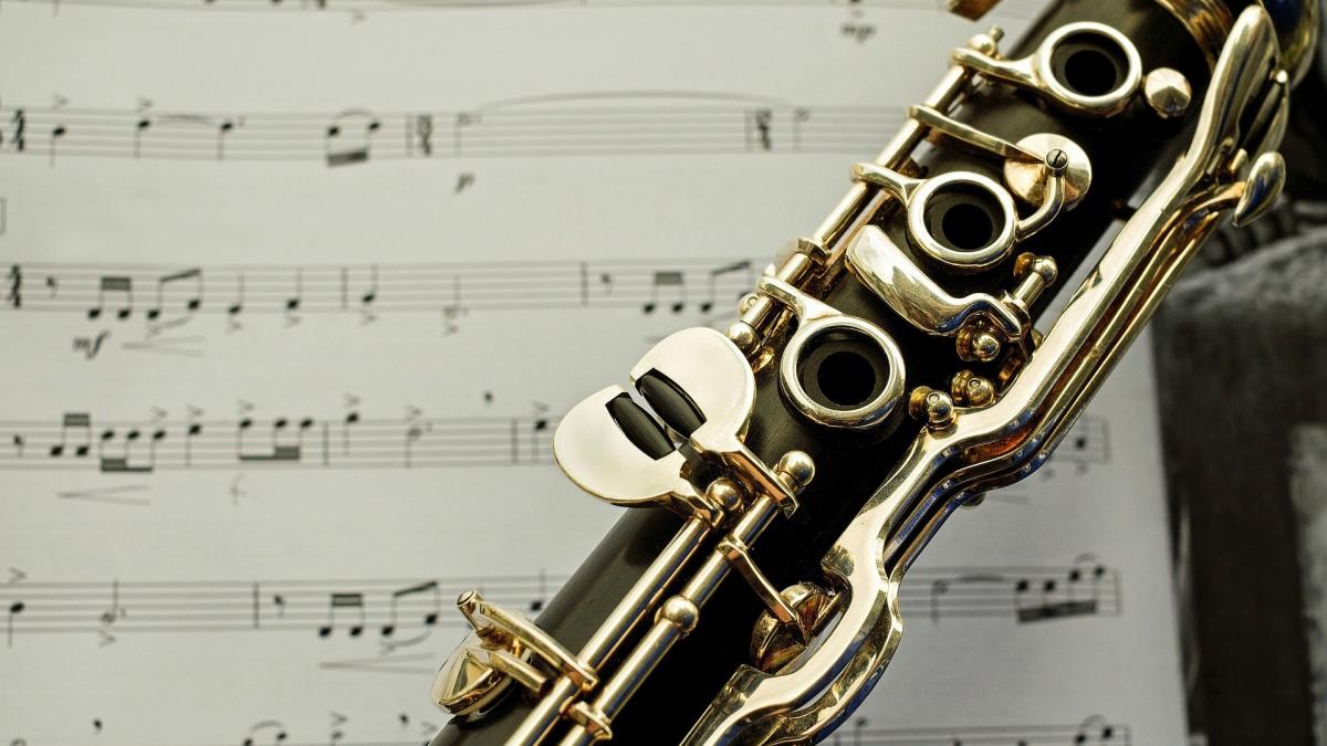 Symbolfotos Musik, Musikinstrumente. Gitarre, Schlagzeug, Geige, Klavier, Saxophon, Klarinette von Pixabay.com