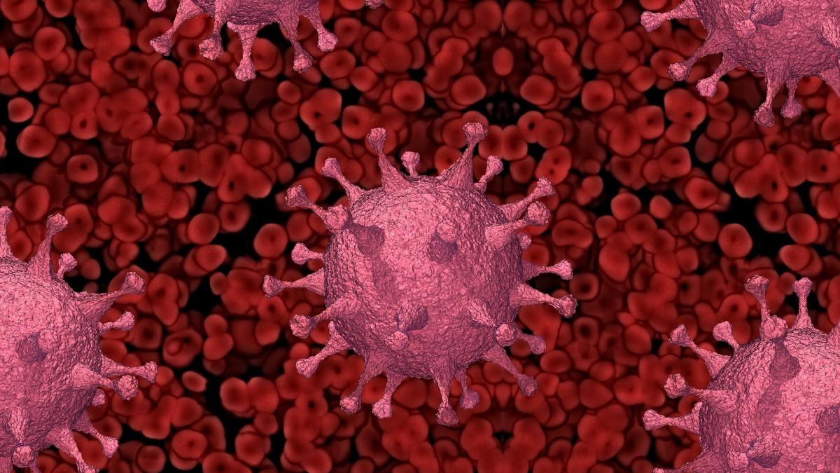 Corona, Covid-19, Virus, Sars-Cov 2, Pandemie, Coronavirus von Pixabay.com