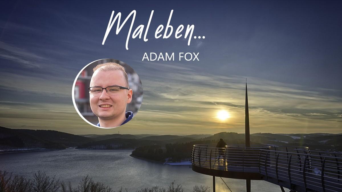 Grafik Mal eben, Adam Fox von Grafik: Sarah Menn