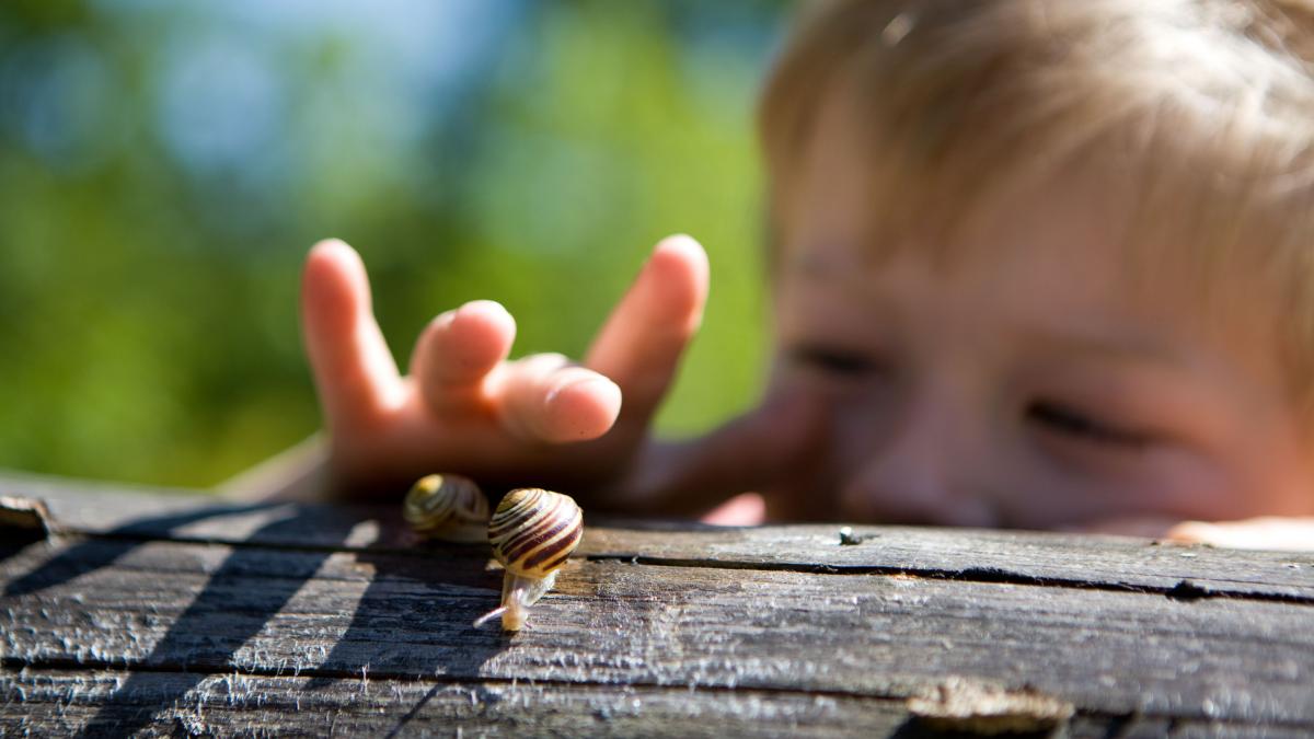 Für Familien und Kinder könnten bald Naturentdeckerorte in ganz Südwestfalen entstehen. von Sauerland-Tourismus / Tanja Evers