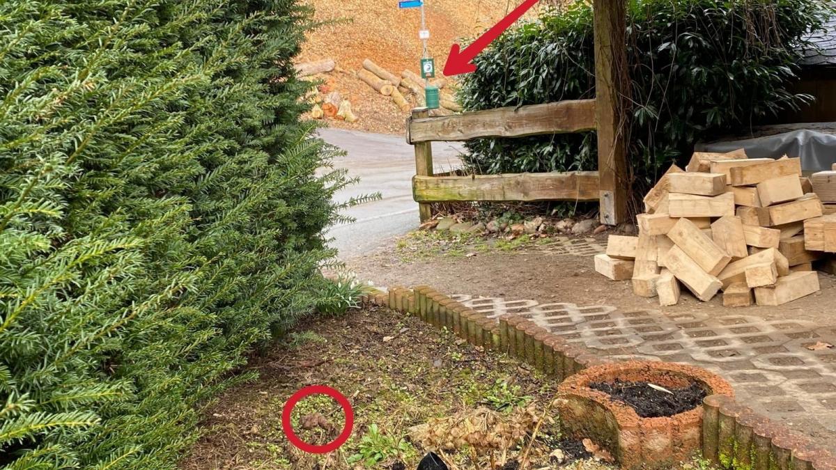Das Foto zeigt es: Im Garten liegt der Hundehaufen - nur wenige Meter entfernt ist die Station für Kotbeutel. Das sollte eigentlich für jeden Hundebesitzer zu schaffen sein... von privat