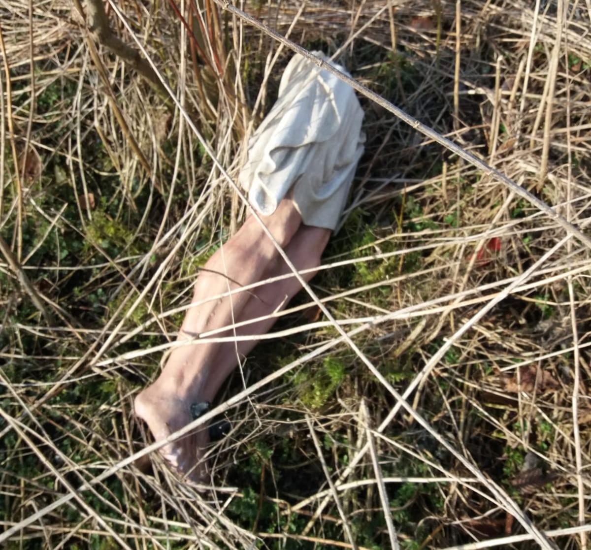 Unterleib und Beine der Christus-Figur lagen in einem Feld. von privat