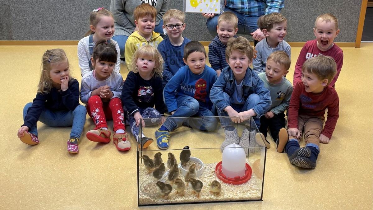 Die Kindergartenkinder im „Zauberwald“ mit „ihren“ Hühnerküken. von privat