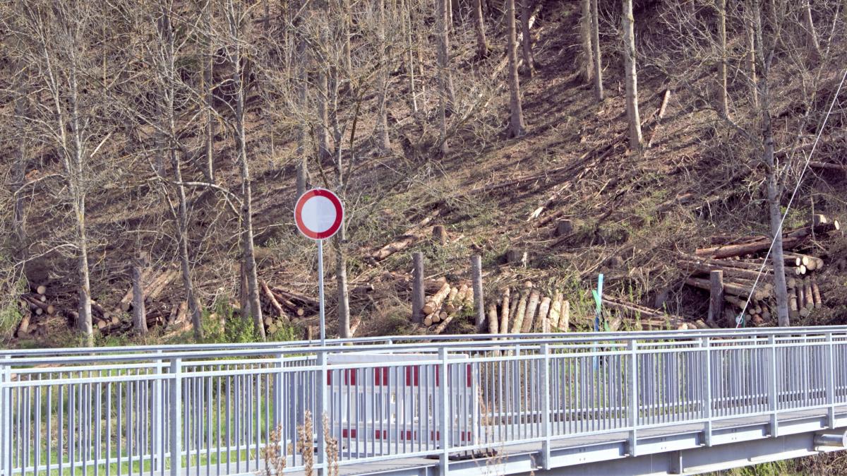 Die Wigeybrücke ist derzeit gesperrt: Aus dem Hang entlang des Fußgänger- und Fahrradweges werden noch bis mindestens Ende der Woche die zerstörten Bäume entfernt. von Jule Humpert