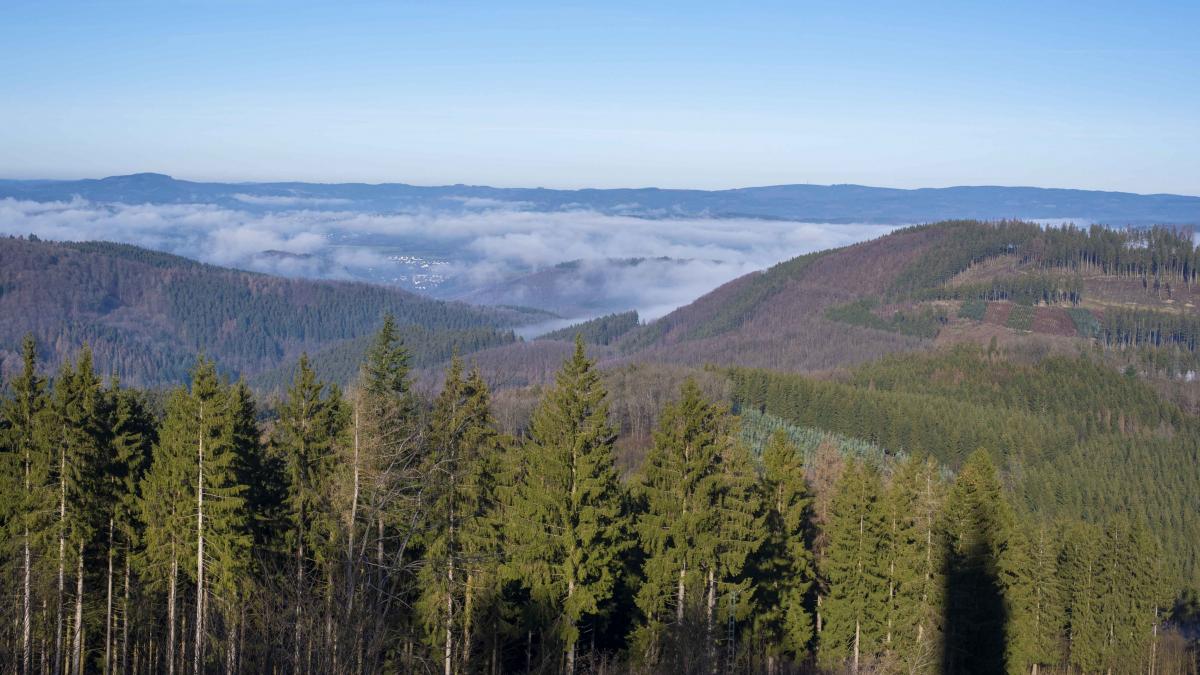 Symbolfoto. von Nils Dinkel