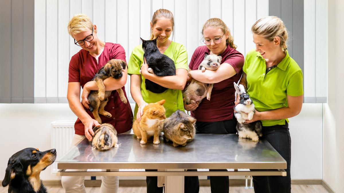 Das Team des Tiergesundheitszentrums am Rothaarsteig freut sich auf alle tierischen Besucher und ihre Herrchen. von Medienwerk