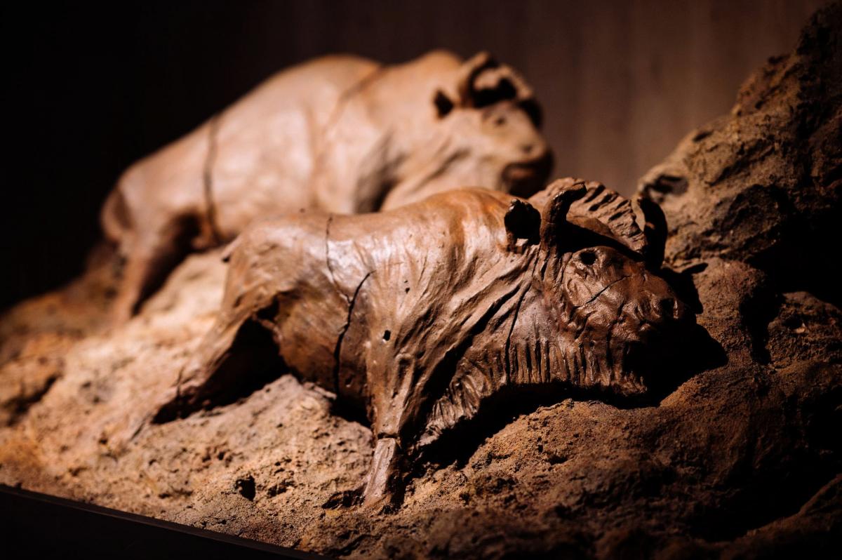 Das Museum Wendener Hütte präsentiert die Sonderausstellung „Bilder im Dunkeln - Eiszeitliche Höhlenkunst“. von Neanderthal Museum