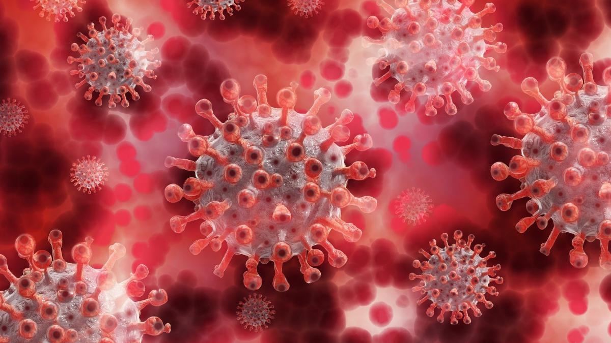 Corona, Covid-19, Virus, Sars-Cov 2, Pandemie, Coronavirus von Pixabay.com
