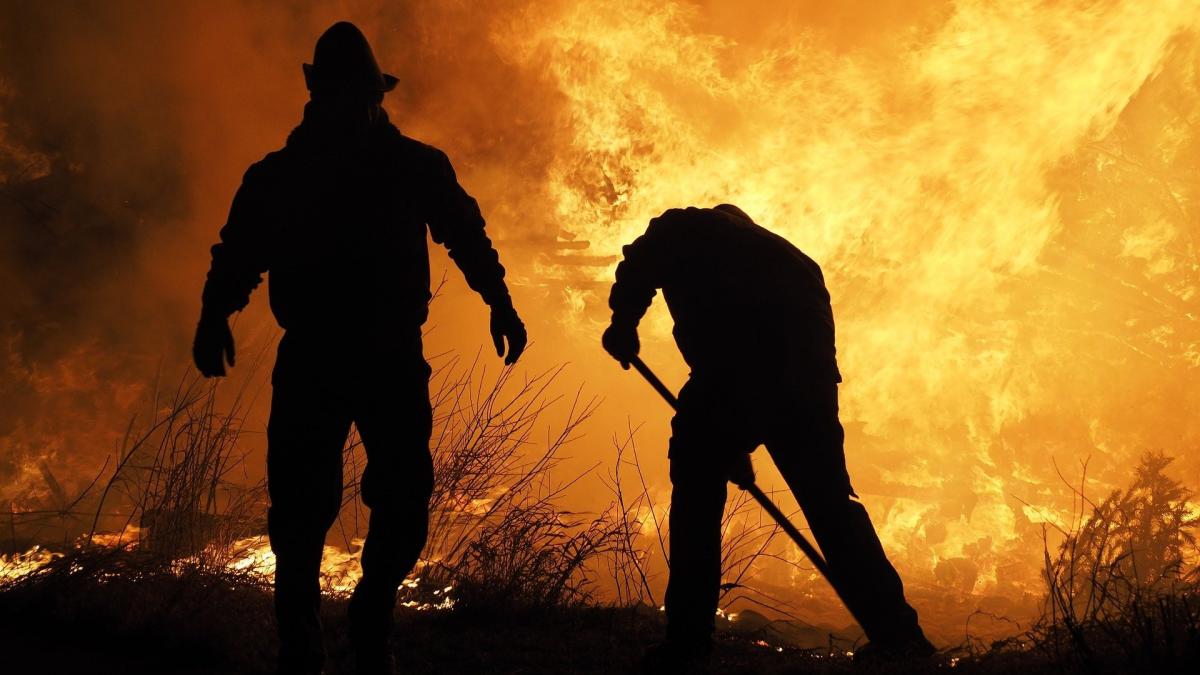 In vielen Ländern Europa stehen Wälder in Flammen. Welche Auswirkungen das auf Urlaubsreisende hat, erklärt die Verbraucherzentrale NRW. von pixabay