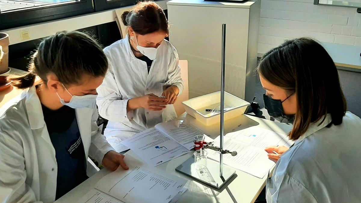 Einige Schüler des SGO führten in der Biologiedidaktik der Uni Siegen spannende Versuche zum Thema Zelle und Zellteilung durch. von privat