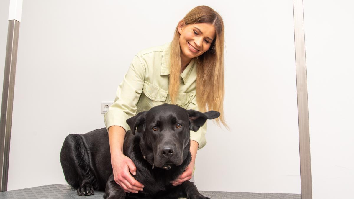 Judika Saul eröffnet einen Friseursalon für Hunde und Rassekatzen. Auch ein Labrador passt problemlos auf den höhenverstellbaren Schneidetisch. von Nils Dinkel
