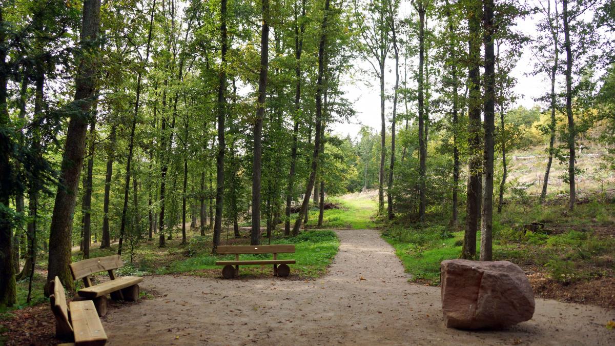 Am Altarstein (r.) des Waldfriedhofs Maria Königin findet an Allerheiligen, 1. November, eine Gedenkfeiert statt. von privat