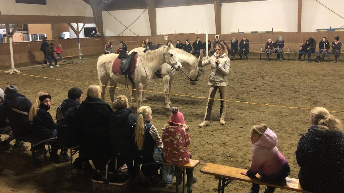 Lene Husch und ihre Filmpferde begeisterten das Publikum auf der Reitanlage in Brün. von privat